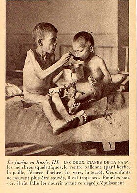 Image illustrative de l’article Famine soviétique de 1921-1922