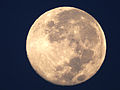 Luna llena (pt: Súper Luna) del 11 de agosto ( → Commons-Photos, Wikipedia: en-WP, es-WP)