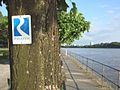 Blaue Markierungen führen entlang des Rheinsteigs