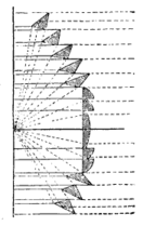 Fig. 1 Fresnellins