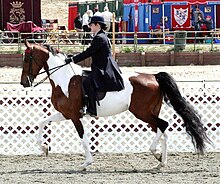 Egy fehér és barna foltos ló sötét ruhás nővel a nyergében egy lovasbemutatón