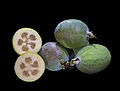 1.2 - 7.2: Fritgs da la guava da ananas (Acca sellowiana syn).