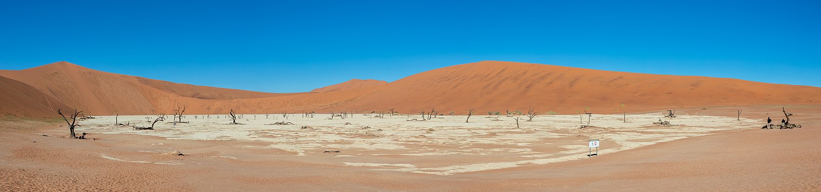 Dead Vlei, Sossusvlei, Namibia.