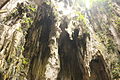 Nature of Rock at Batu Caves