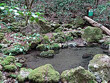 Antoku spring water area.jpg