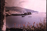 Madeira, asi 1910