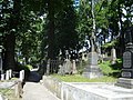 English: Rasos cemetery: Беларуская: Могілкі Роса