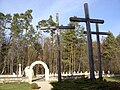 Krzyże i ogólny widok na cmentarz ofiar pacyfikacji