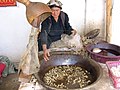 Filadura artisanala de la seda en China (Hotan)