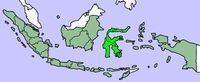 苏拉维西 Sulawesi的位置