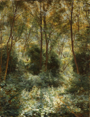Aage Bertelsen, Solskin i tæt Skov, 1905.png