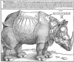 Tác phẩm khắc gỗ Rhinocerus của Albrecht Dürer