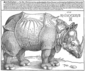 Dürers „Rhinocerus“ (späterer Abzug des Holzschnitts, 16. Jh.)