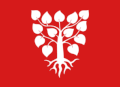 Zastava Občina Lindås