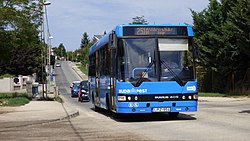 251A busz a Péterhegyi úton