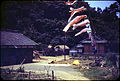 Koinobori at a rural home, 1955