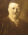 Theodore Roosevelt Portrait, 1904