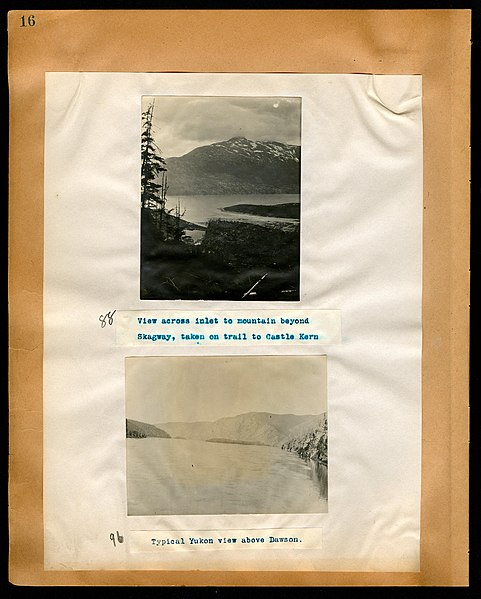 File:Chase album, 1898, 1903, and undated (Page 16) BHL46399500.jpg