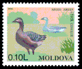 Timbre de Moldavie, 1996