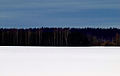 Zdroj estonské vlajky (sníh, les a obloha)