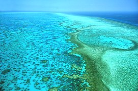 Великий Бар'єрний риф