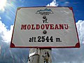 Vârful Moldoveanu, Munţii Făgăraş