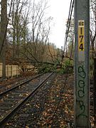 Trees and wire down south of New Canaan.jpg