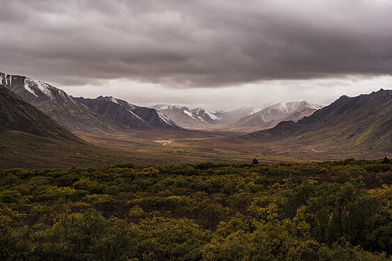 Fall in Yukon's Tombstone Territorial Park. Photograph: LaurieSchamber