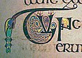 Uma de milhares de capitulares decoradas do Livro de Kells