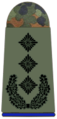 Vokietija - Oberst