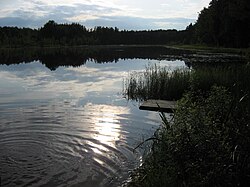 Solda järv 2009. a. põimukuun
