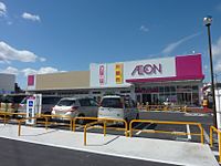 イオンいかるが店 （奈良県生駒郡斑鳩町、イオンリテール運営） SSM型店舗の例