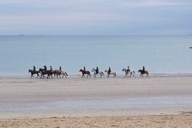 Photographie d’une plage parcourue par des chevaux montés.