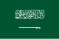 المملكة العربية السعودية (مرة واحدة)