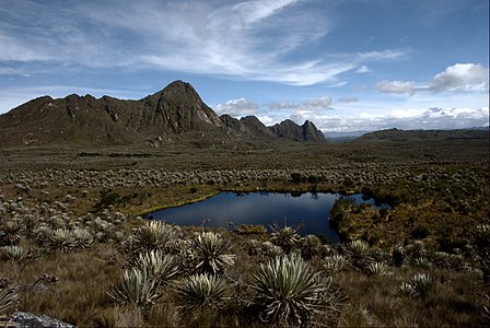 Climat froid Páramo en région andine.