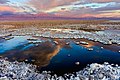 13. Az Atacama sósivatag Chilében. Háttérben a Licancabur vulkán (javítás)/(csere)