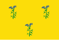 Vlag van Zuiddorpe (officieus)