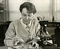 8. Barbara McClintock (1902. június 16. – 1992. szeptember 2.) amerikai tudós, citogenetikus, az 1983-as fiziológiai és orvostudományi Nobel-díj nyertese (javítás)/(csere)