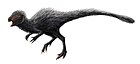 Heterodontosaurus tucki