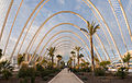 11. Ultraszéles látószögű panoráma a Santiago Calatrava által tervezett L’Umbracle-ben, a Művészetek és Tudományok Városában (Valencia, Spanyolország) (javítás)/(csere)