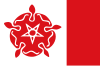 Flag of Rauwerd