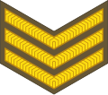 Sergeant (New Zealand Army)[69]