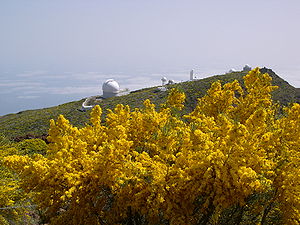 astronomy Observatory La Palma 2004