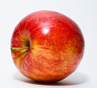 Gülgiller (Rosaceae) familyasından kültürü yapılan bir meyve cinsine giren bir kırmızı elma. Malus domestica. (Üreten: Abhijit Tembhekar)