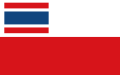 Прапор Чехословаччина（1919-1920）