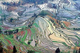 Rizières en terrasse des Hani de Honghe, Yunnan en Chine méridionale