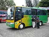 Trans Jogja Bus. A bus rapid transit system in Yogyakarta city