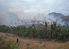 Chặt cây bất hợp pháp và cháy cây ở Madagascar