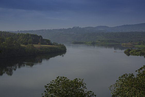 Nile river near lake Victoria. Photograph: Thomas Fuhrmann
