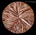 Copper etched disc